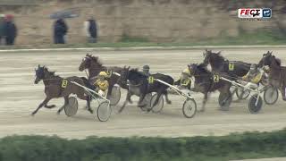 Vidéo de la course PMU PREMI BO POU RAFAL