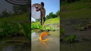 Amazing polo fishing #bigfish #fishingvideo #shorts