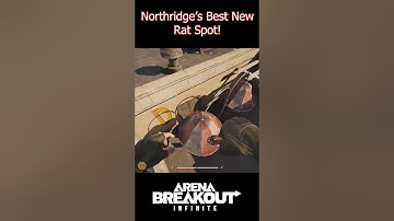 The Best New Rat Spot in Northridge / Arena Breakout İnfinite PC  #arenabreakouttipsandtricks