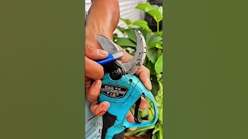 Dụng cụ mài dao kéo bằng hợp kim #dungcuhn #dungcutienich #dungcugiadinh #congcugiadinh #shortvideo