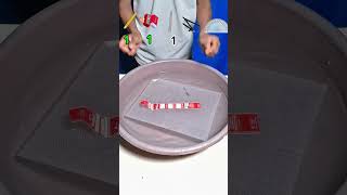 Pencil vs Sharpener vs Compass vs Protractor 🤯 | Satisfying Water Challenge