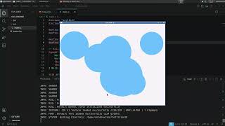 Full 2D elastic collision in C using Raylib Update