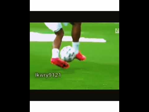 اهداف ومهارات فنيسوس جونيور