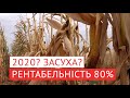 Органічне добриво - ефективність навіть в умовах посухи