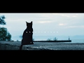 【off vocal】花に亡霊 / ヨルシカ - piano ver. arranged by 萩 - 映画『泣きたい私は猫をかぶる』