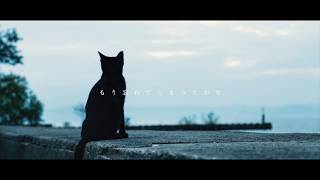 【off vocal】花に亡霊 / ヨルシカ - piano ver. arranged by 萩 - 映画『泣きたい私は猫をかぶる』