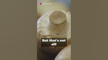 The benefits of Cordyceps Mushrooms