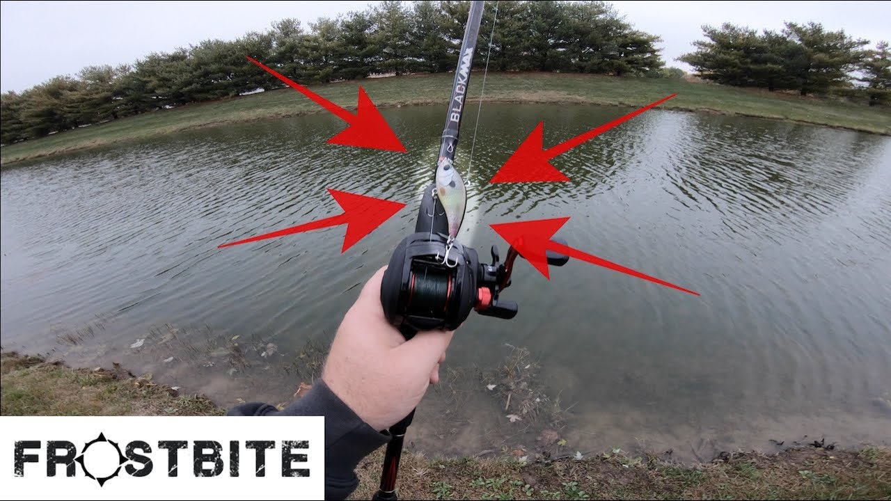 Fishing the New FROSTBITE TANTRUM (Honest Review) YouTube