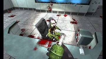 half life stallker weapon animation