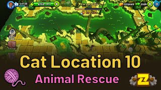 Cat Location 10 - Animal Rescue - Puzzle Adventure screenshot 2