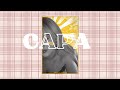 ᭸  ׂ  ⬞  ❀  Como fazer capa simples e aesthetic  para o wattpad . . . ☕