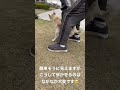 賢殿様が巡り合わせてくれたご縁に感謝。