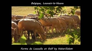 Ferme Et Golf Du Bois De Lauzelle De Louvain - La - Neuve, Lln, Central Belgium, By