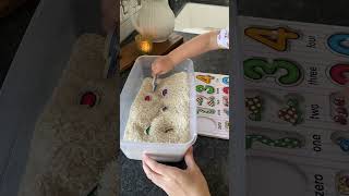 Fun Activities for Toddlers: Sensory Rice Bin Puzzle Hunt! screenshot 4