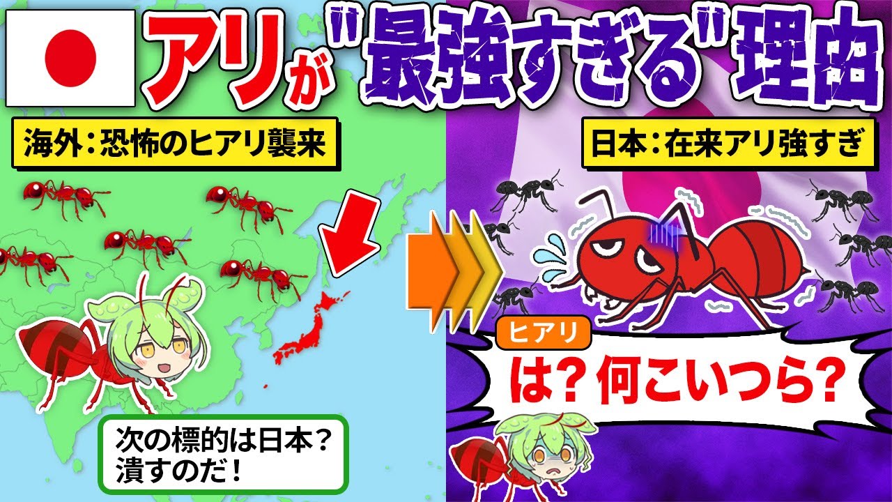 日本に侵入した”外来アリ