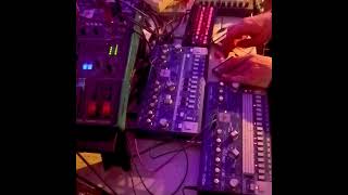 experimental DAWless jam on TD-3, RD-6, and 2x Stylosette Keys all controlled by an SQ-1 #dawless