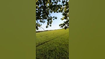 FPV - Transition #shorts