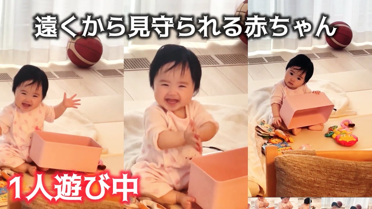 11 months old] 👶 Playing alone and studying English with dad