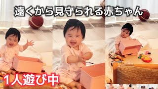11 months old] 👶 Playing alone and studying English with dad