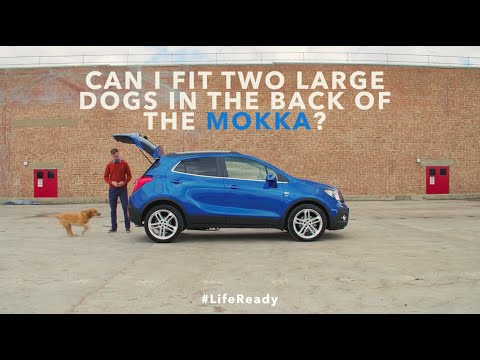 Can I Fit Two Large Dogs In The Back Of The Vauxhall Mokka