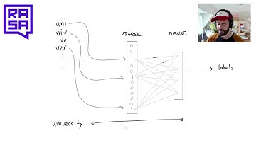 Vincent Warmerdam- What Lies in Word Embeddings | PyData Global 2020