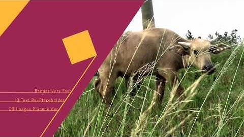 After Effects Project Files - Minimal Slideshow - VideoHive 8783519