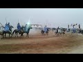 مهرجان القصابي للفروسية مهرجان القصابي للفروسية