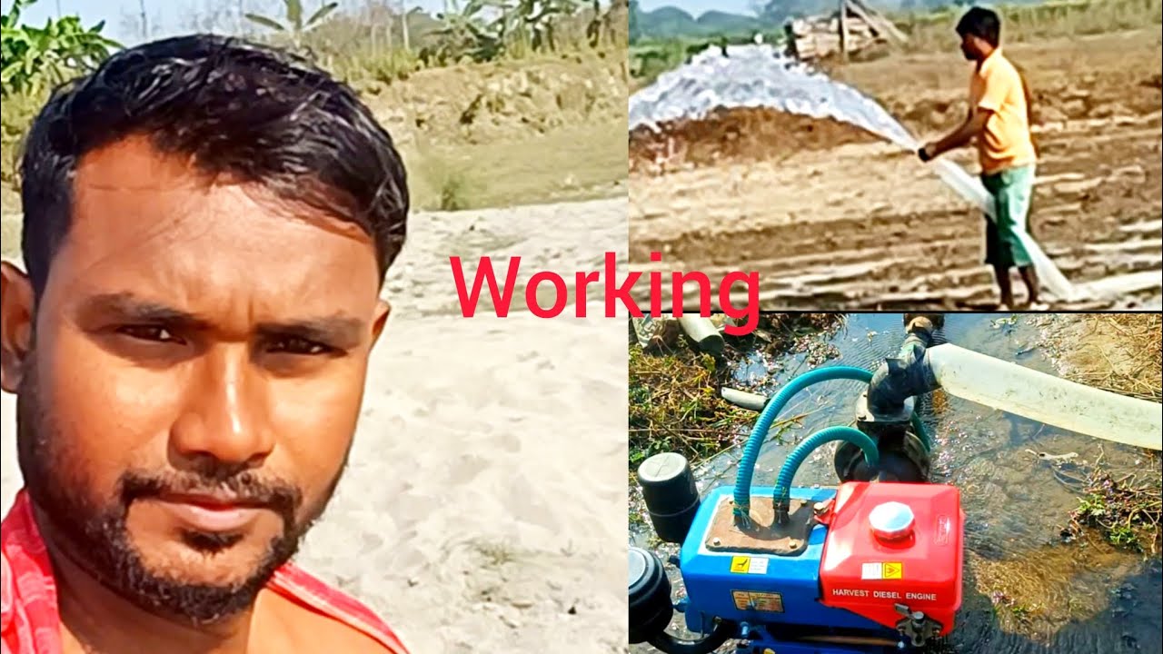 Getting crops field ready for cultivation| reworking for jinga cultivation 