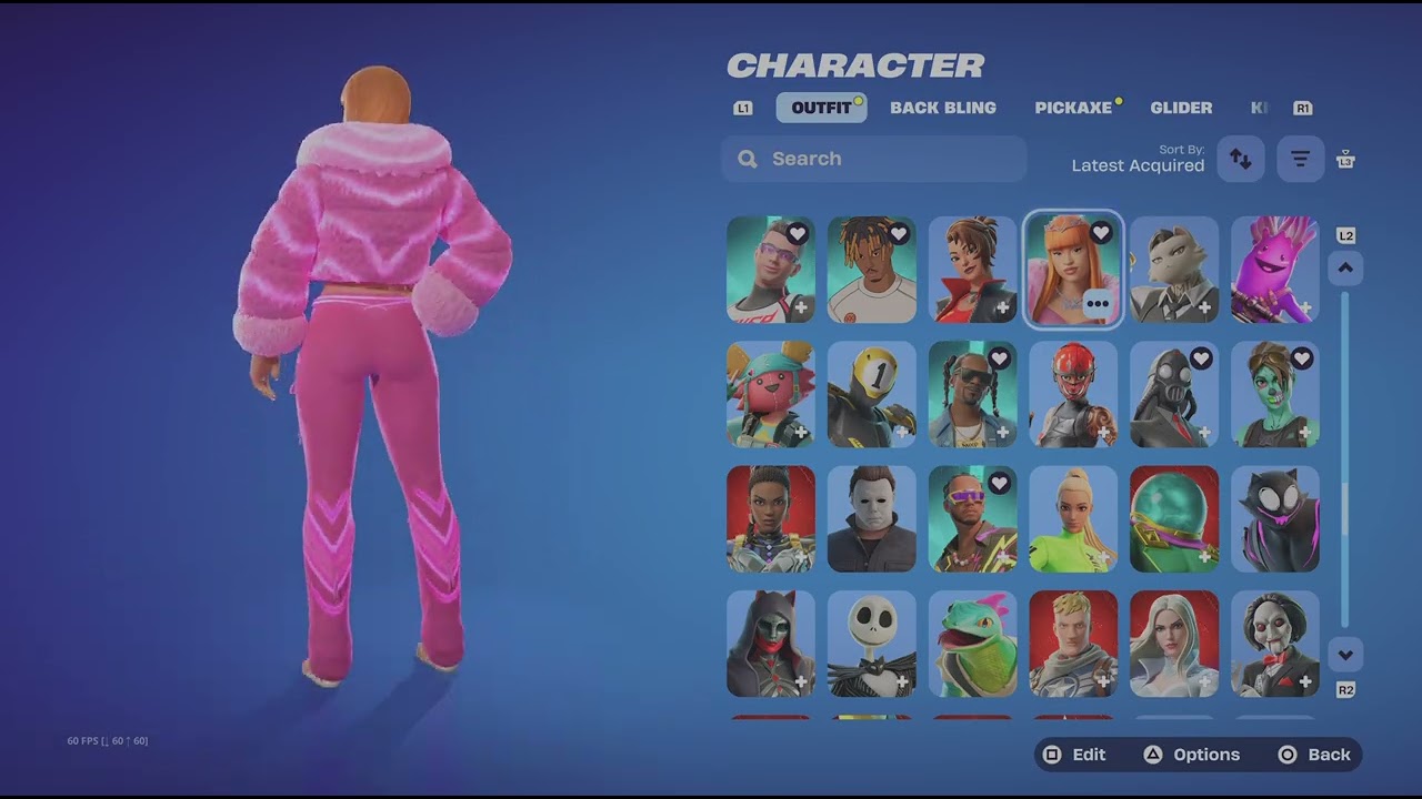 Fortnite 243 skins