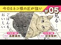 【マンガ動画】ネコ様たち(CV:杉田智和、高橋英則)の警戒心|『今日もネコ様の圧が強い』(5)【漫画】ボイスコミック