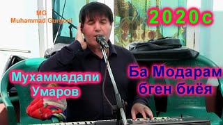 Махмадали Умар Модар оши нахор Ёвон 2020