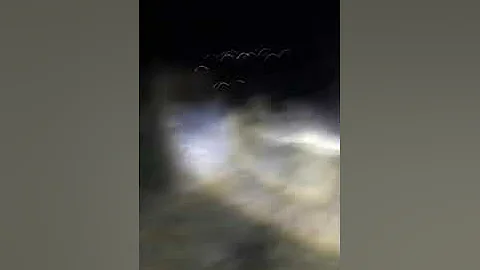 Captamos un Nahual en Sendero  | No lo podemos creer