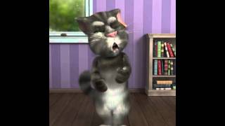 Talking Tom Gets Knocked Out 2X