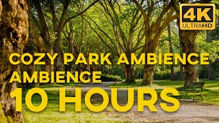 COZY PARK AMBIENCE | SLEEP, STUDY, RELAX | 10 HOURS