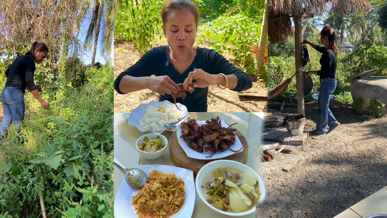 Рисовое поле