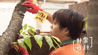 樹醫生 楊淳婷:「我沒有母親這麼偉大。」