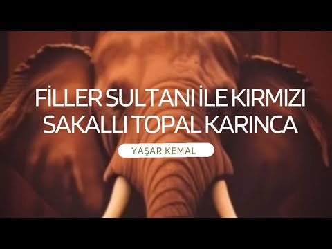 Filler Sultanı ile Kırmızı Sakallı Topal Karınca - Yaşar Kemal