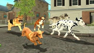 Cat Sim Online: play with cats screenshot 4
