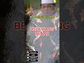 KH Zainuddin #ceramah #ngaji #islam #motivation #quran #uas #islamic #uah #quotes #gus #motivational