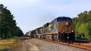Amtrak 89 & CSX Q463-11 at Java