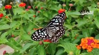 ادعية تريح القلب❤️❤️ screenshot 1