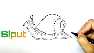 Nice and easy || How to draw snail