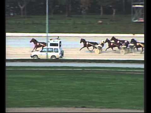 Vidéo de la course PMU PREMI CAVAILLON