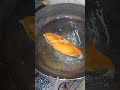fish 2026/04/05