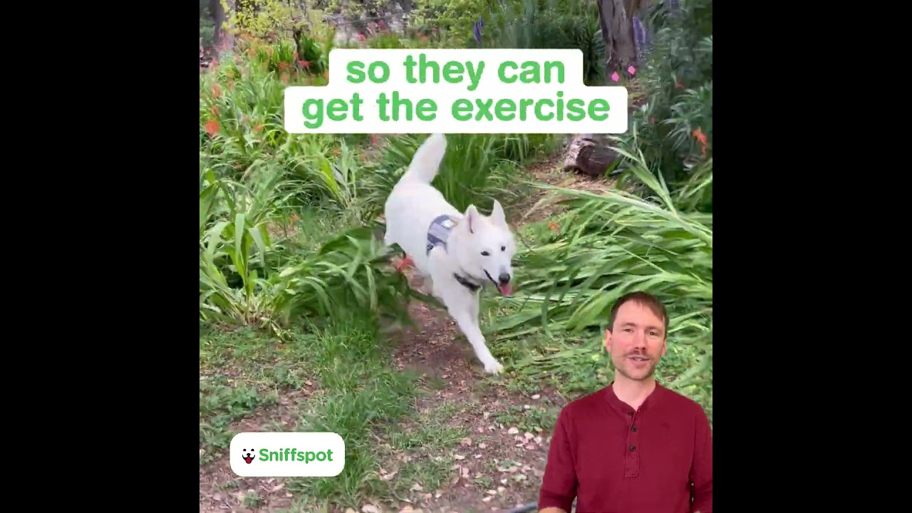 Heard about Sniffspot?