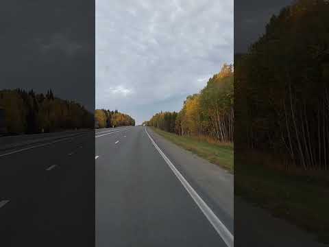 Video: Excursii în Ekaterinburg