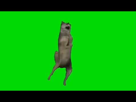 Wolf Dancing Green Screen Meme