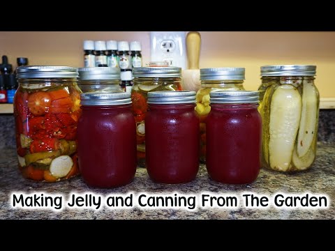 Making Jelly, Canning & Hot Pepper Garden Challenge
