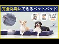 Gentle Lemur-Pet Bed（ジェントルリーマ ペットベッド）イントロダクション