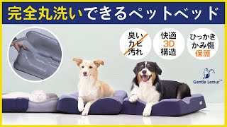 Gentle Lemur-Pet Bed（ジェントルリーマ ペットベッド）イントロダクション